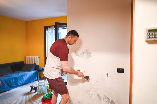 Best Fast Mold Removal  in New Hyde Park, NY